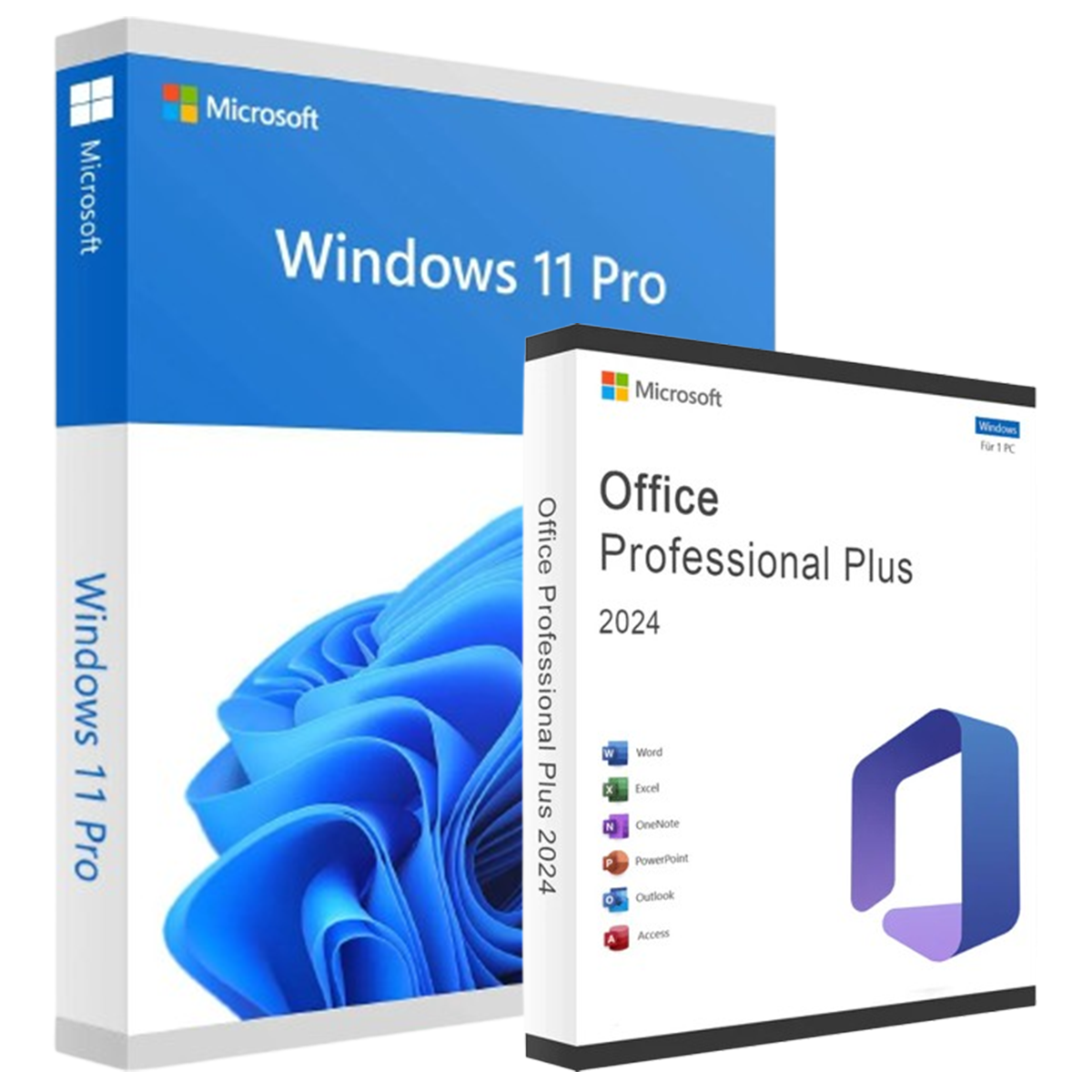 Windows 11 Pro & Office 2024 Professional Plus