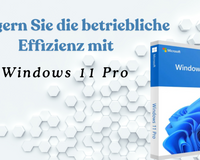 Steigern Sie die Effizienz Ihrer Arbeit mit Windows 11 Pro