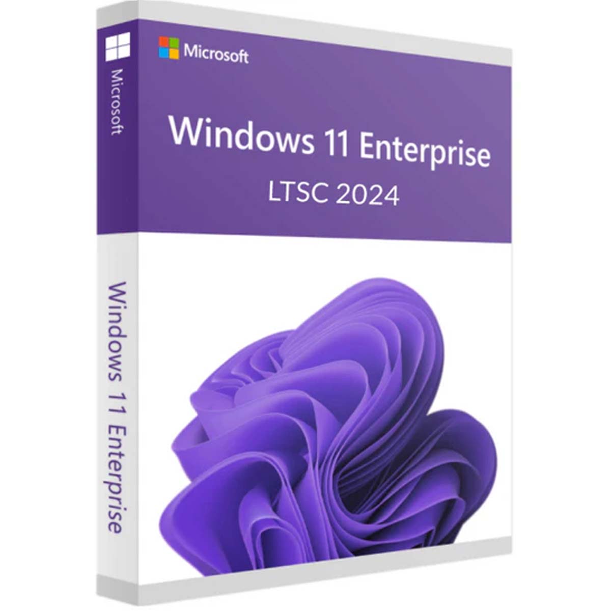 Windows 11 Enterprise LTSC 2024 kaufen