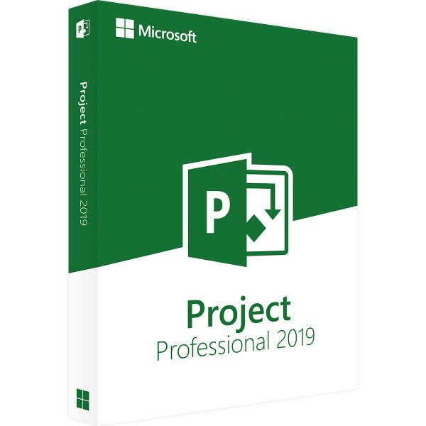 Project 2019 Professional Product Key günstig online kaufen